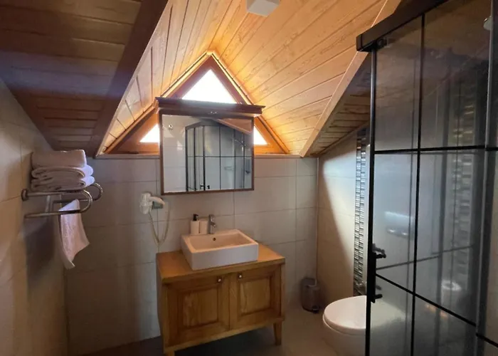 Veziroglu Apart-hotel 4*